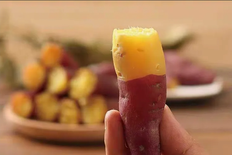 智能甘薯糖化愈合庫(kù)，紅薯存儲(chǔ)新變革